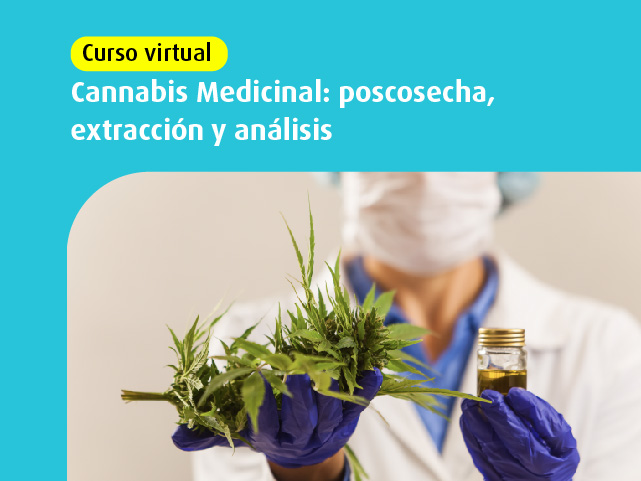 Cannabis medicinal Poscosecha extraccion analisis edco ingeniería quimica alimentos uniandes 